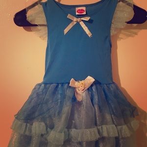 Cinderella Costume/Dress Up